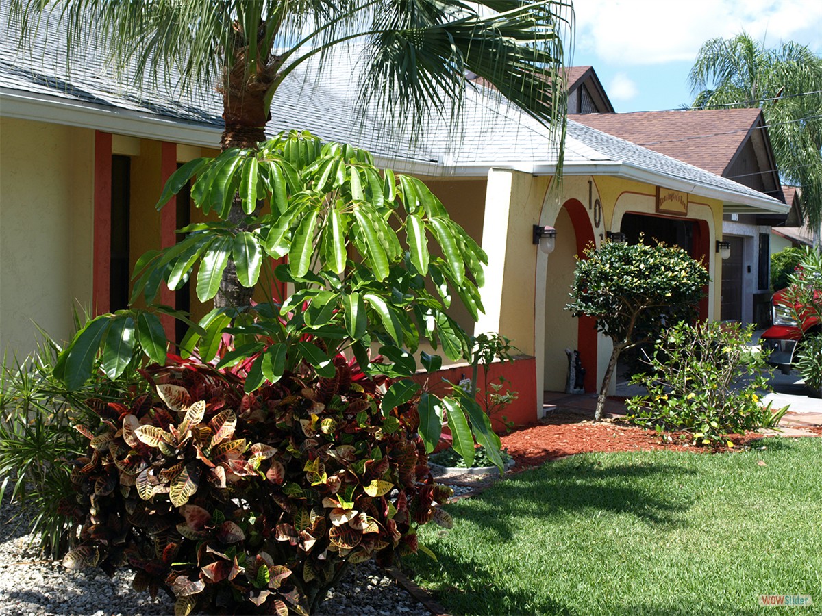 Auch der Busch muss umgesetzt werden ...