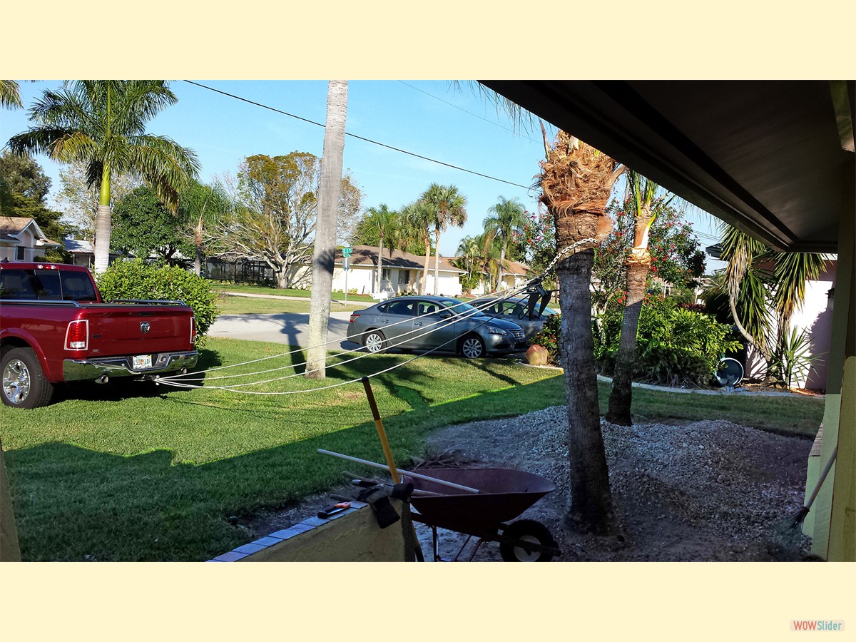  Zwei Palmen sind auch im Weg. Eine kommt weg, ...