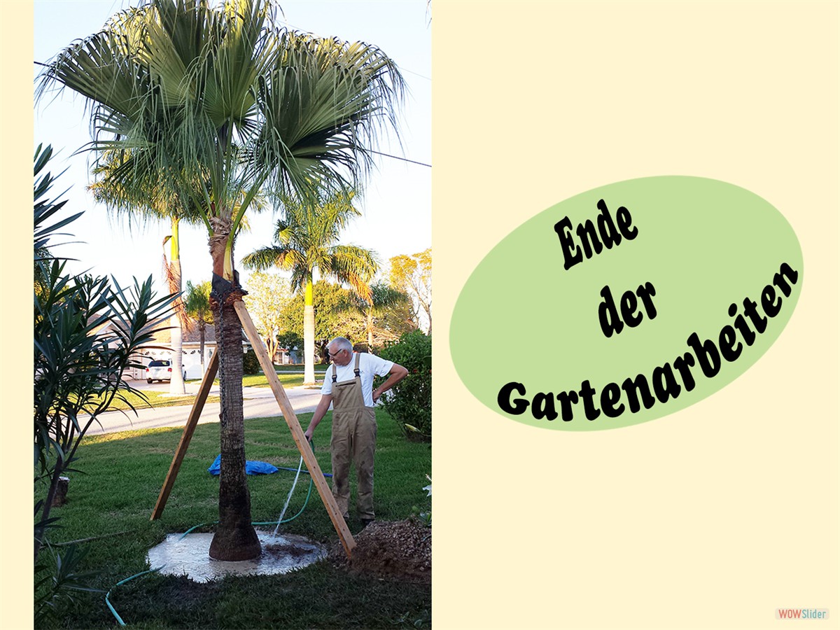 Am Ende des Tages steht sie und wird noch gut eingeschwemmt.