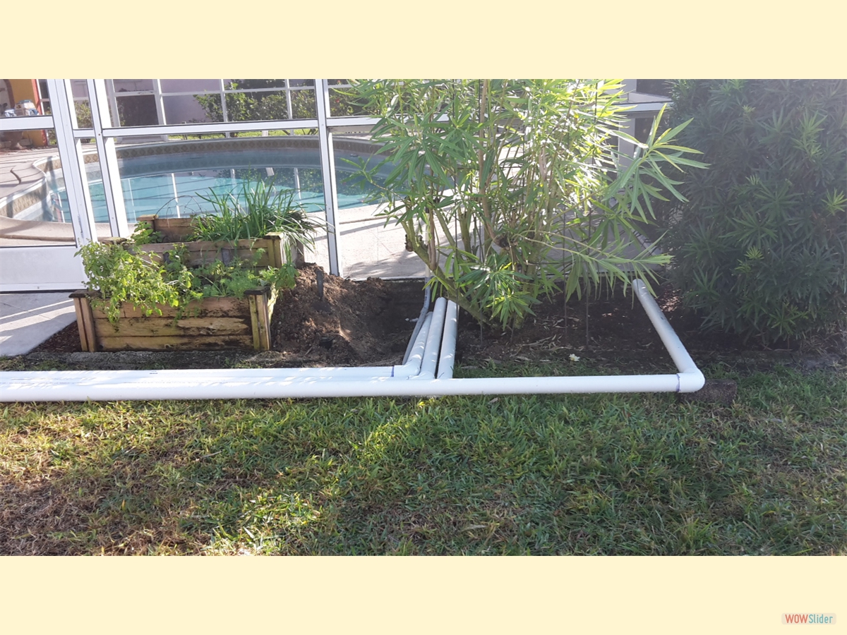 ... later. ... later.