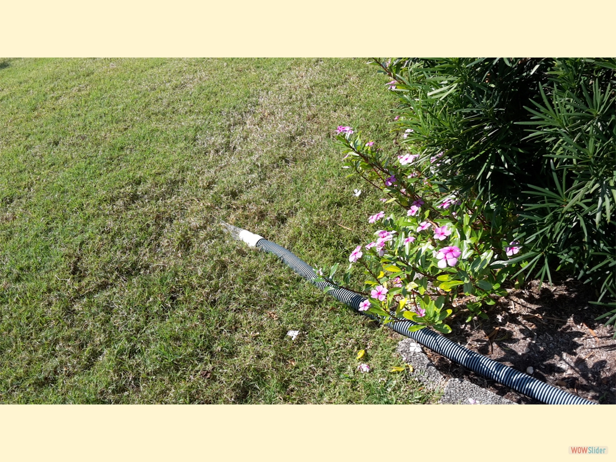 ... the saltwater at all, ... ... the saltwater at all, ...