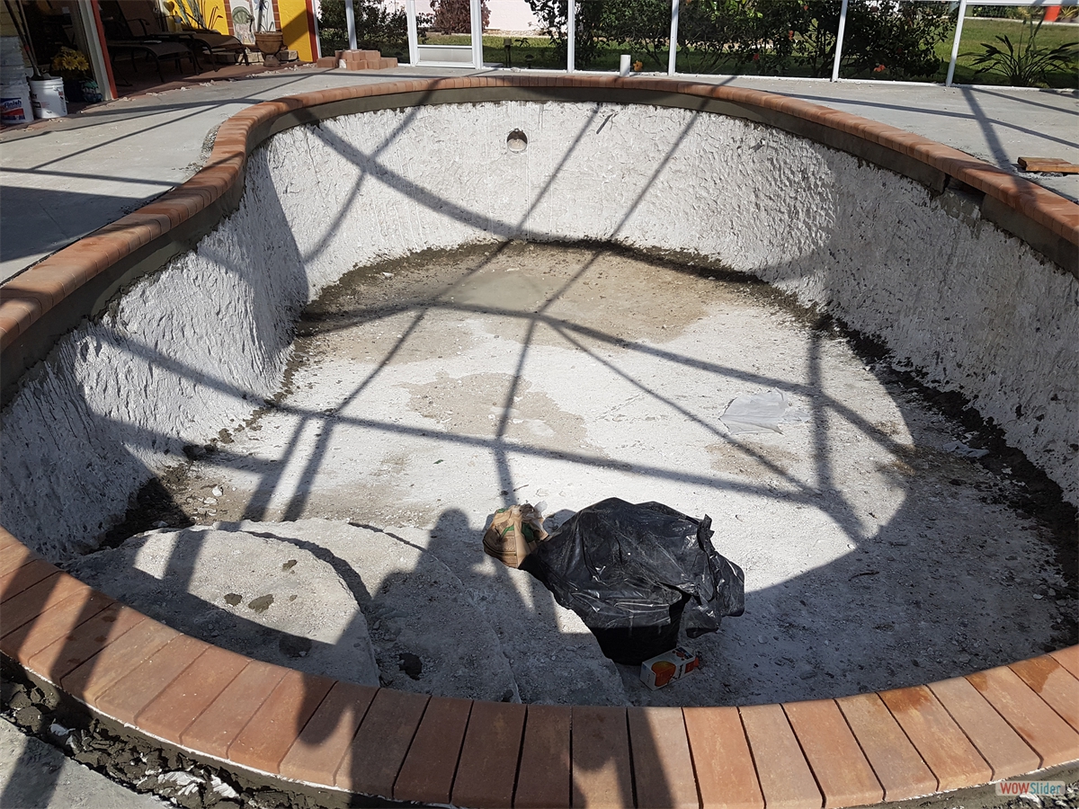 ... the coping. ... the coping.