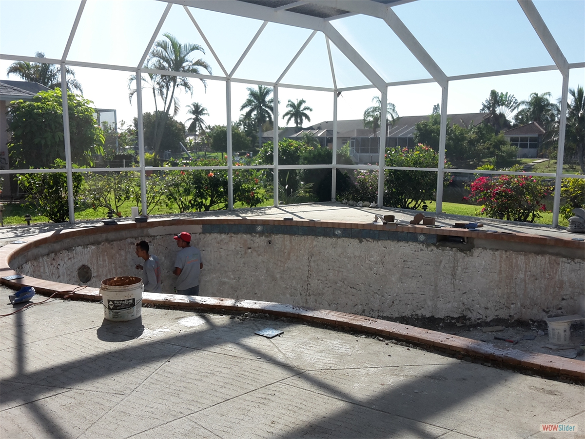 Next step: ... Next step: ...