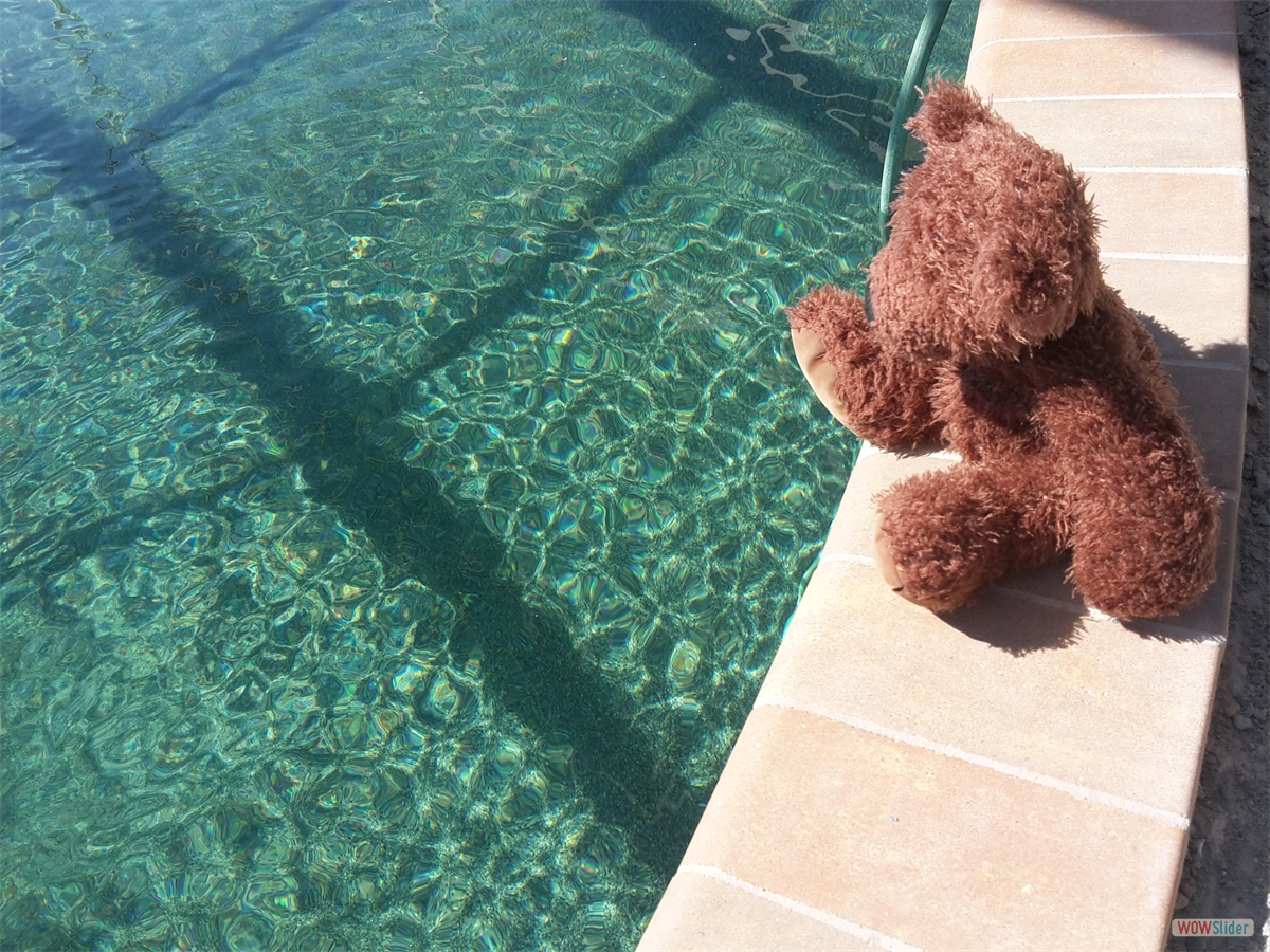 The first visitors ... The first visitors ...