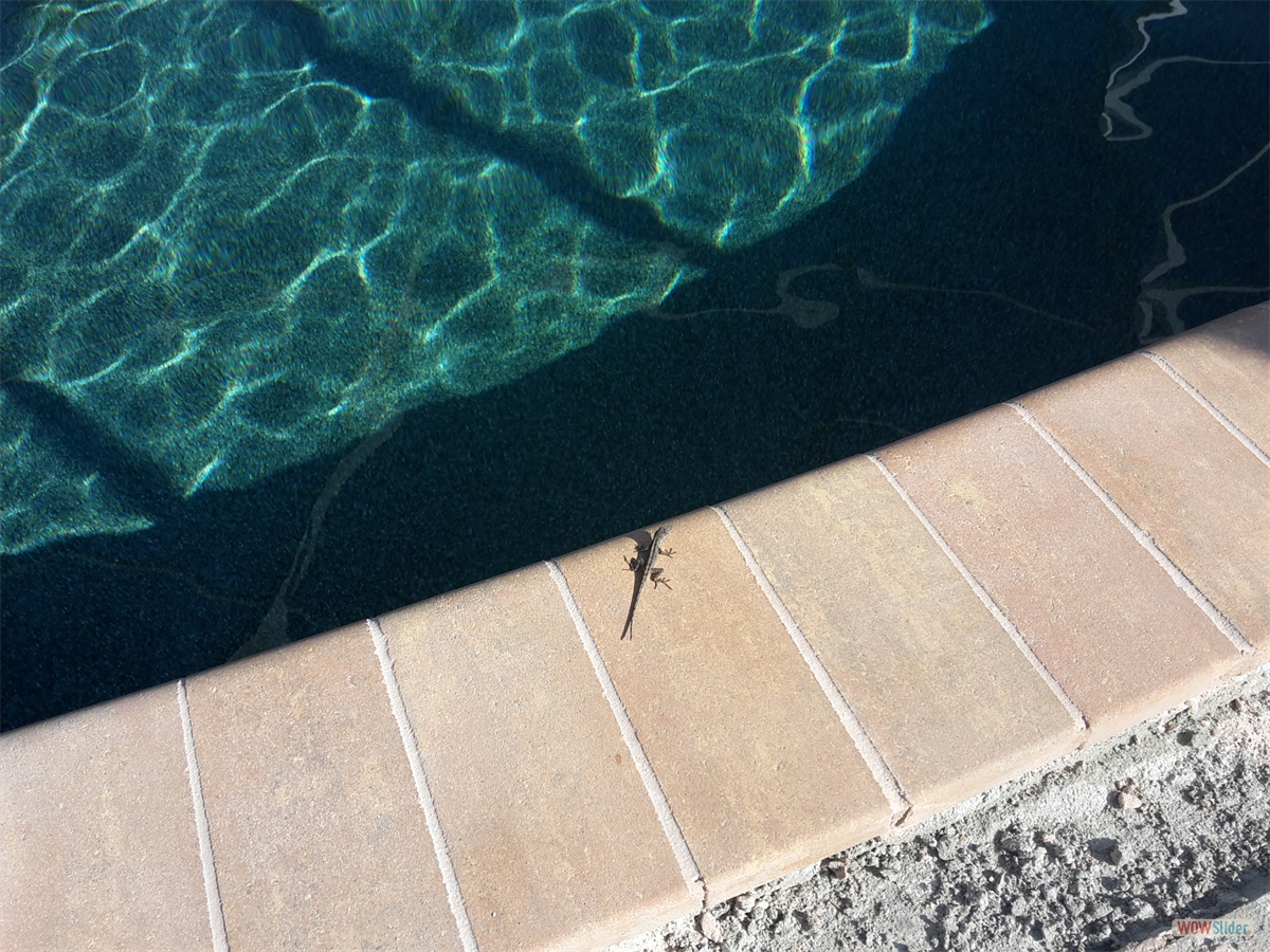 ... have arrived! ... have arrived!