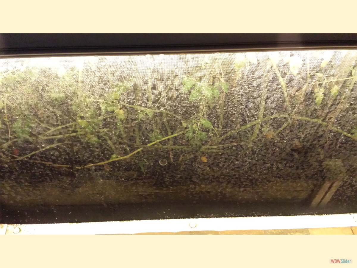 ... but the screen looked really bad! ... but the screen looked really bad!