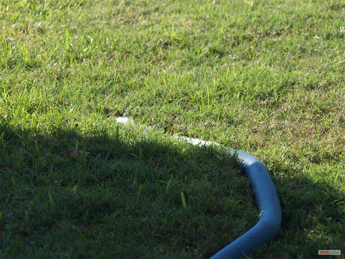 ... which does not like ... ... which does not like ...