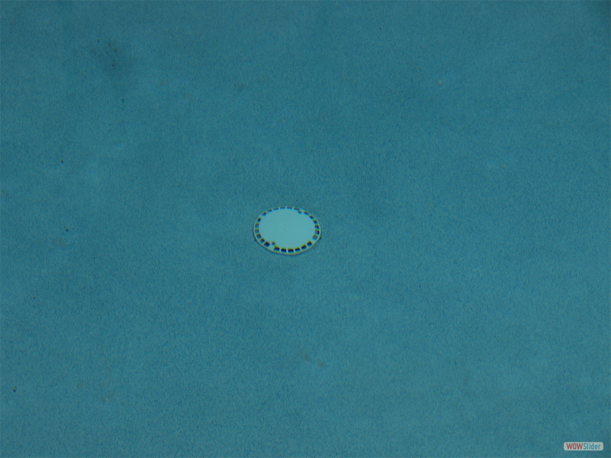 ... and more spots appeared ... and more spots appeared