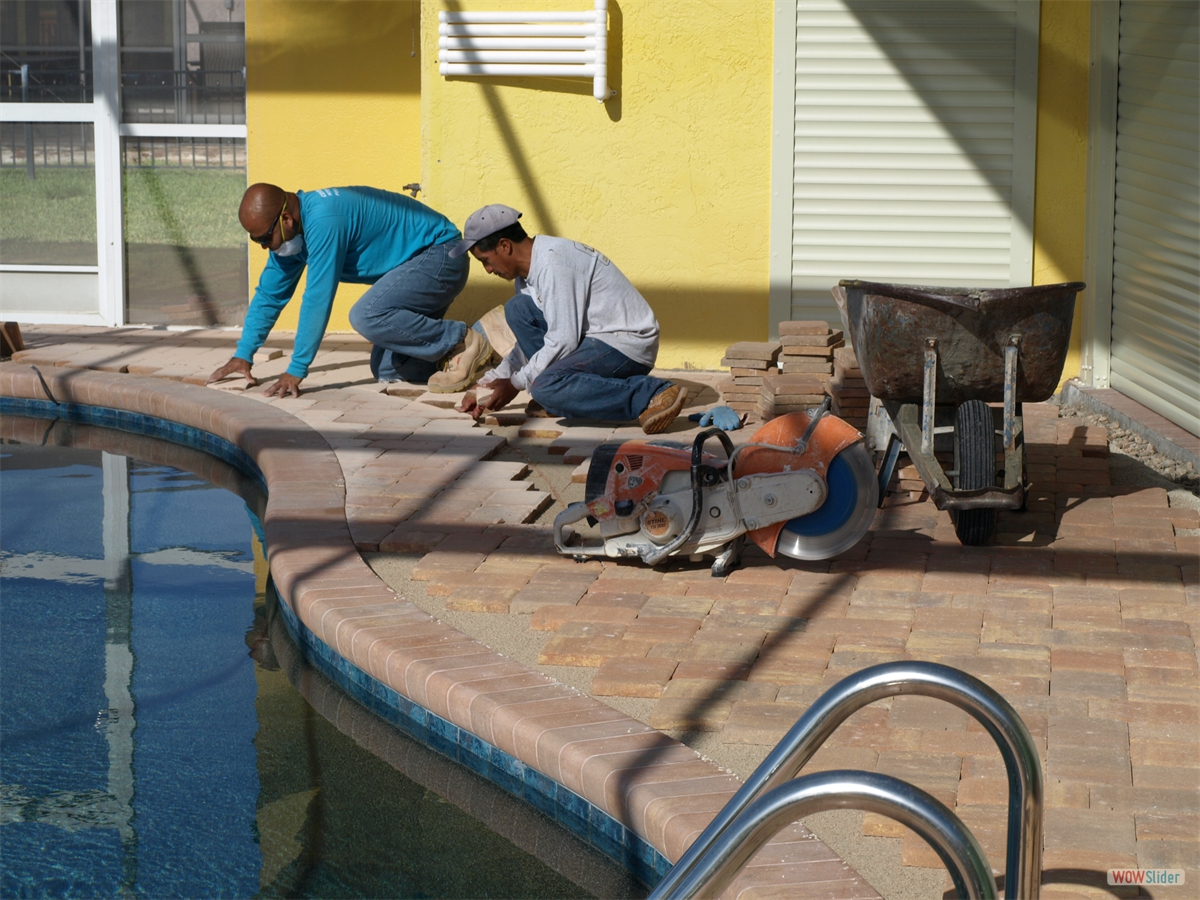 ... and then laid down ... ... and then laid down ...