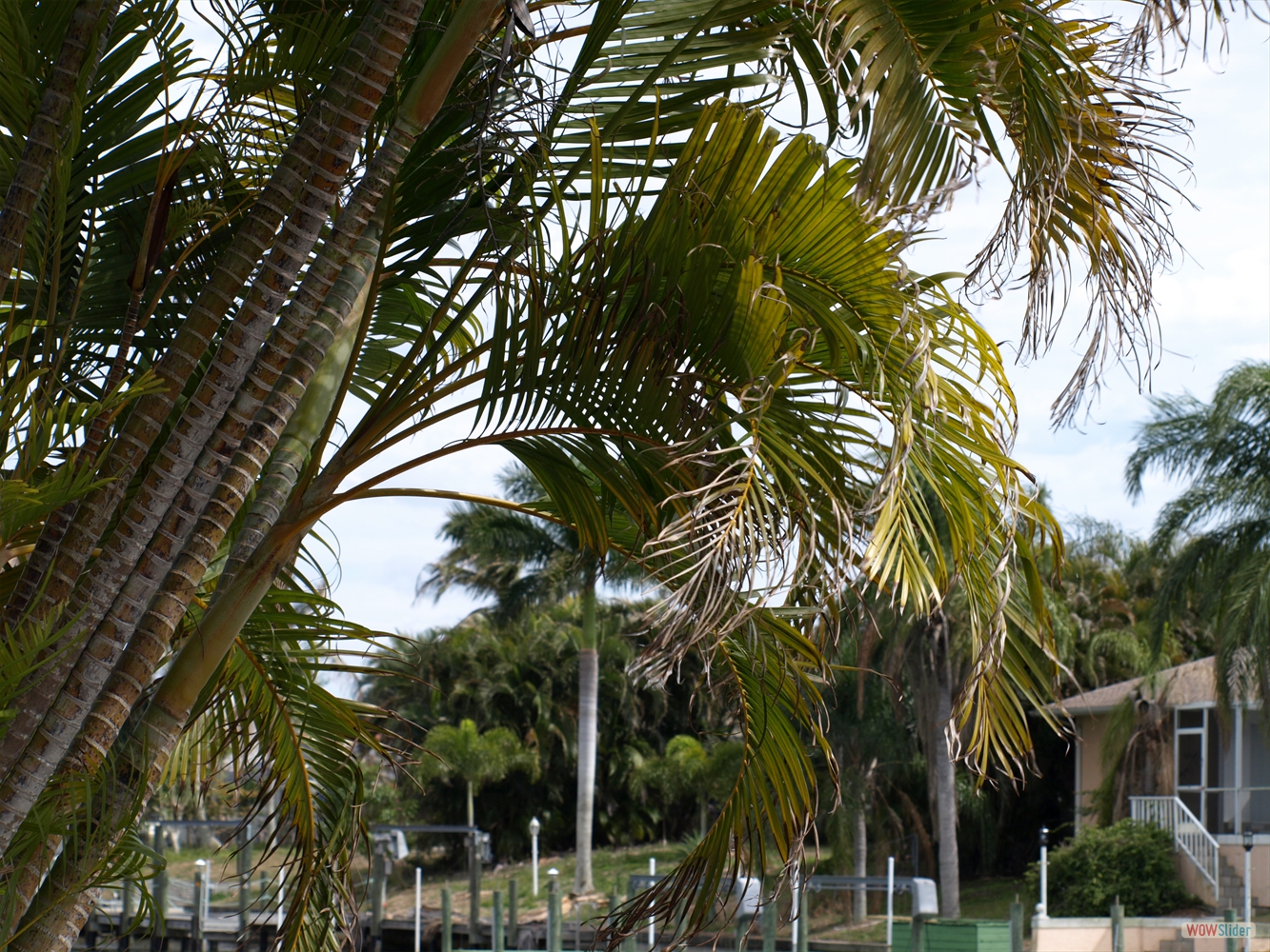 ... was in the way of the canal view ... ... was in the way of the canal view ...