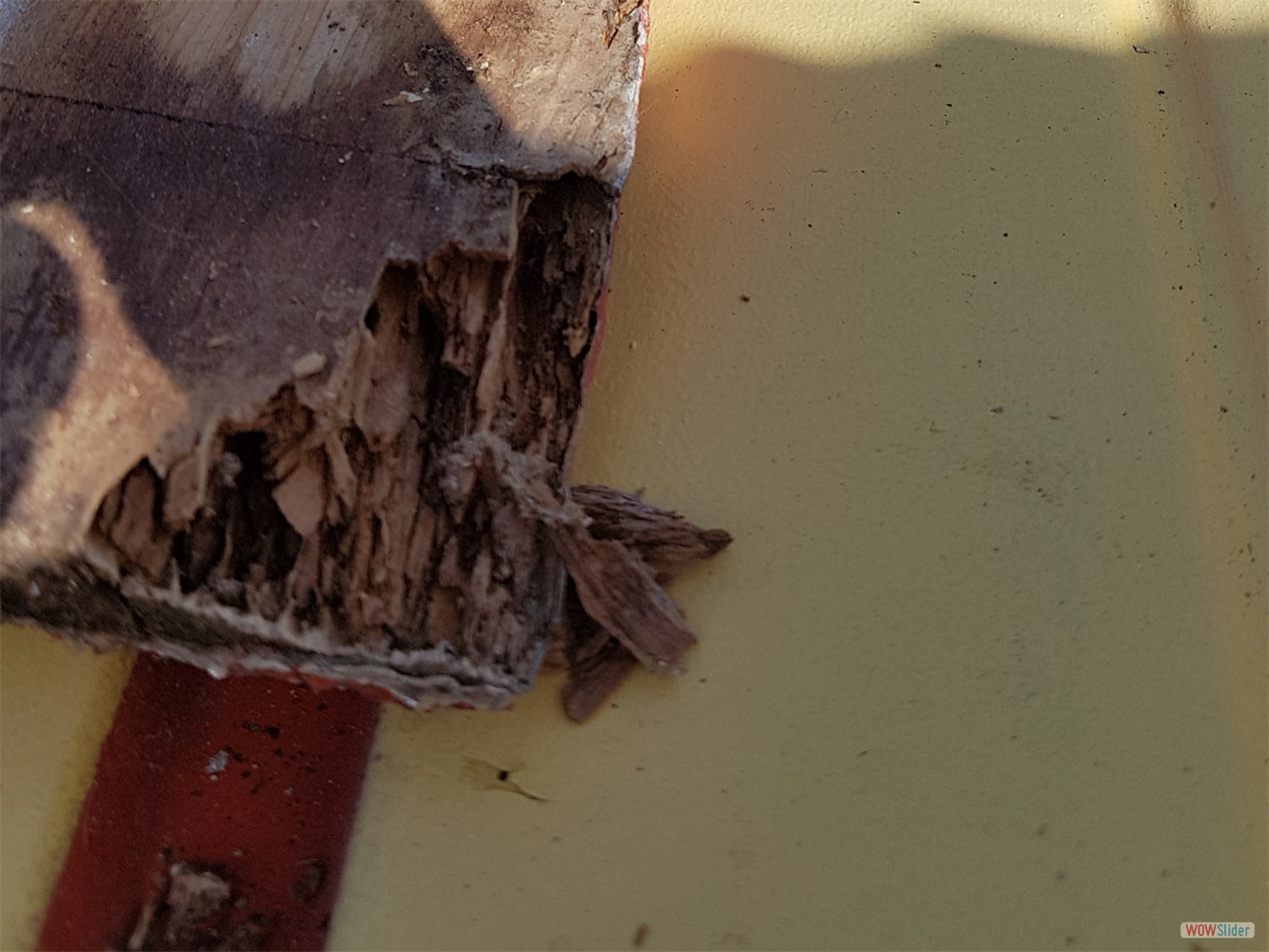 Beim Abbau des alten Holzrahmens fanden wir ...