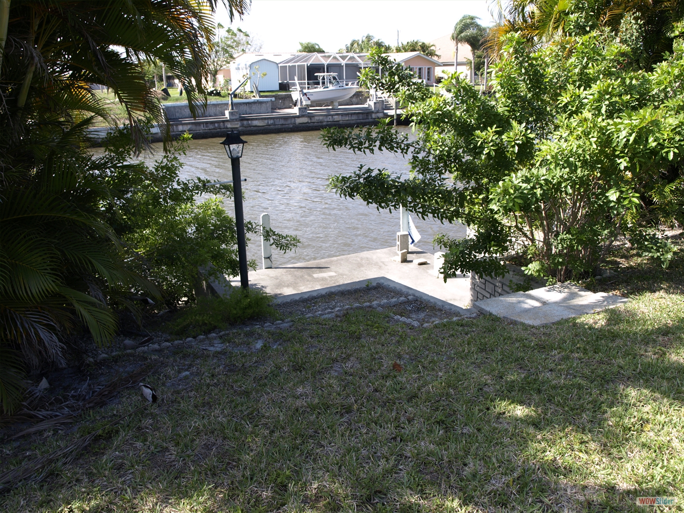 ... the overgrown boat dock look like ... ... the overgrown boat dock look like ...