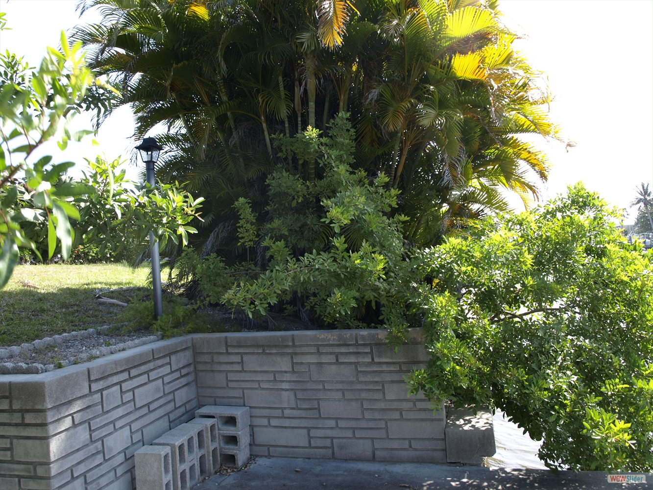 ...at first showing ...at first showing