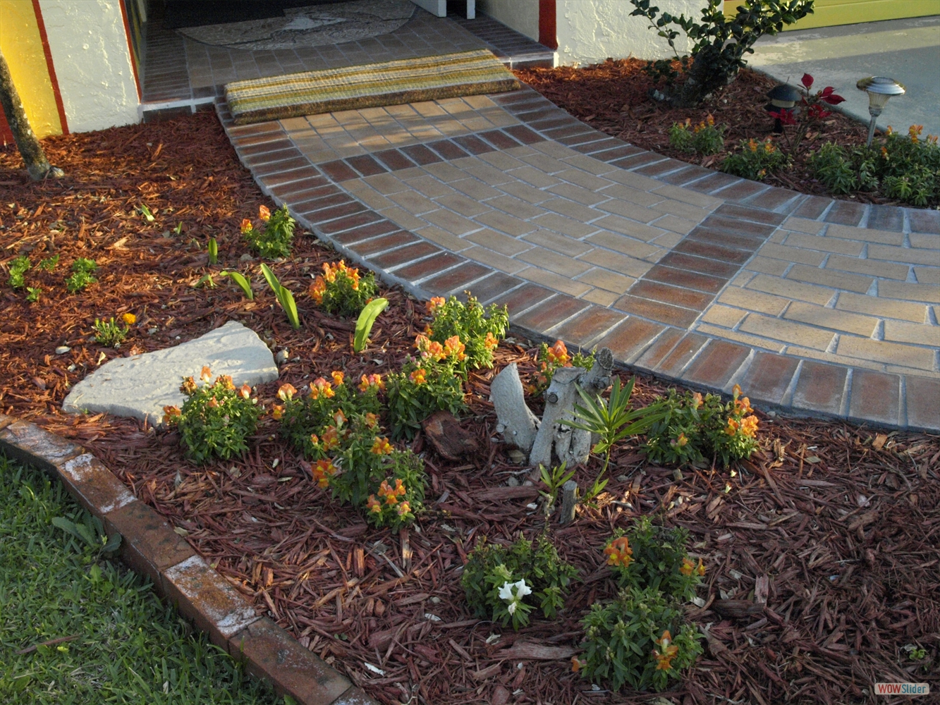 ... then we got two oleanders which took their time to regrow after moving them ... ... then we got two oleanders which took their time to regrow after moving them...