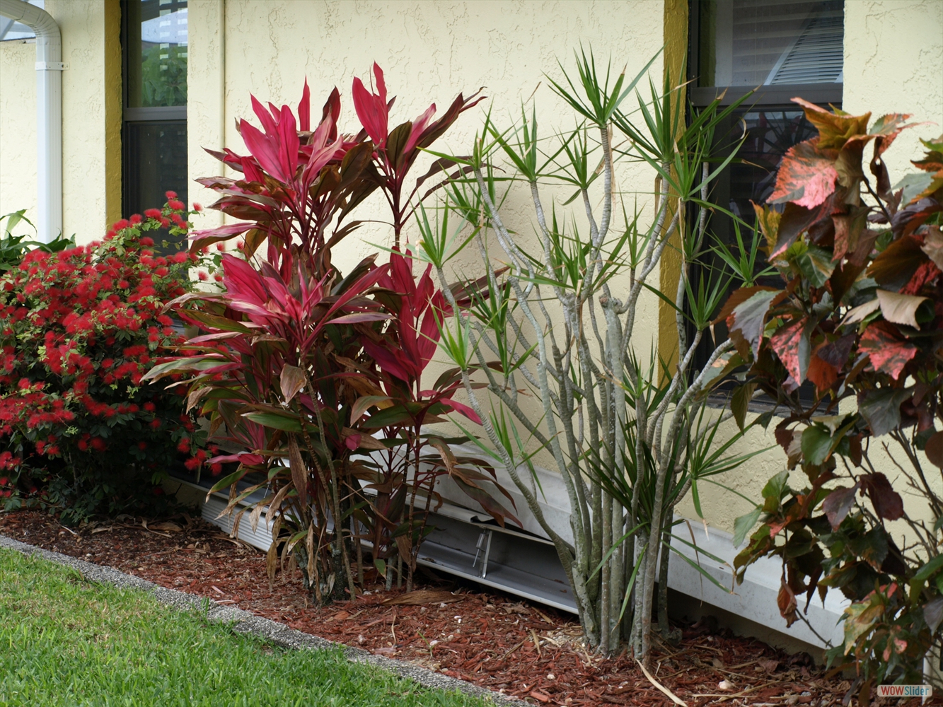 ... it looks like .... ... it looks like ....