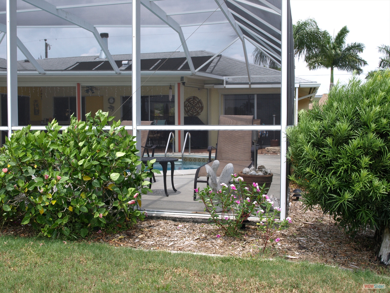 ... with all kind of bushes ... ... with all kind of bushes ...