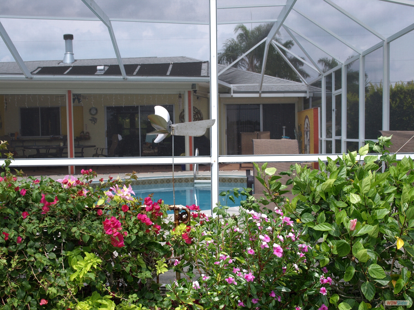 ... and flowering plants ... ... and flowering plants ...