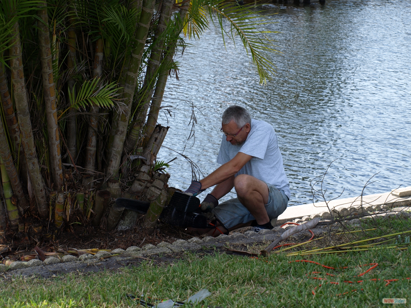 ... Juergen tackling the giant palmb bushes ... Juergen tackling the giant palmb bushes